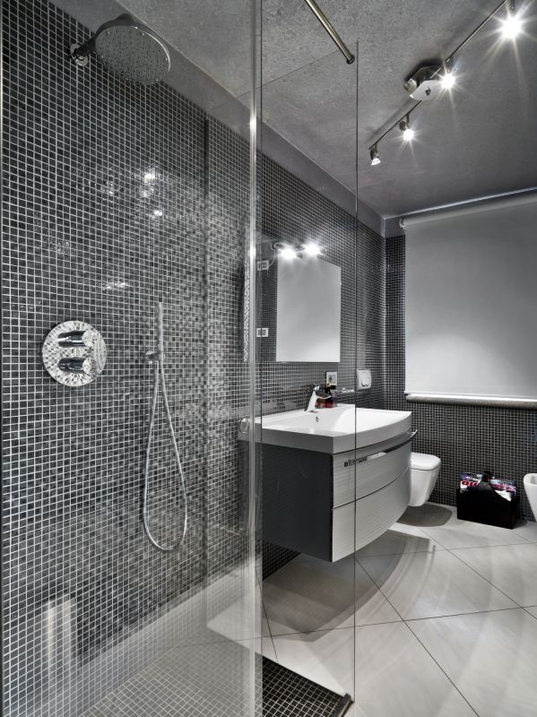 Contemporary Shower Area